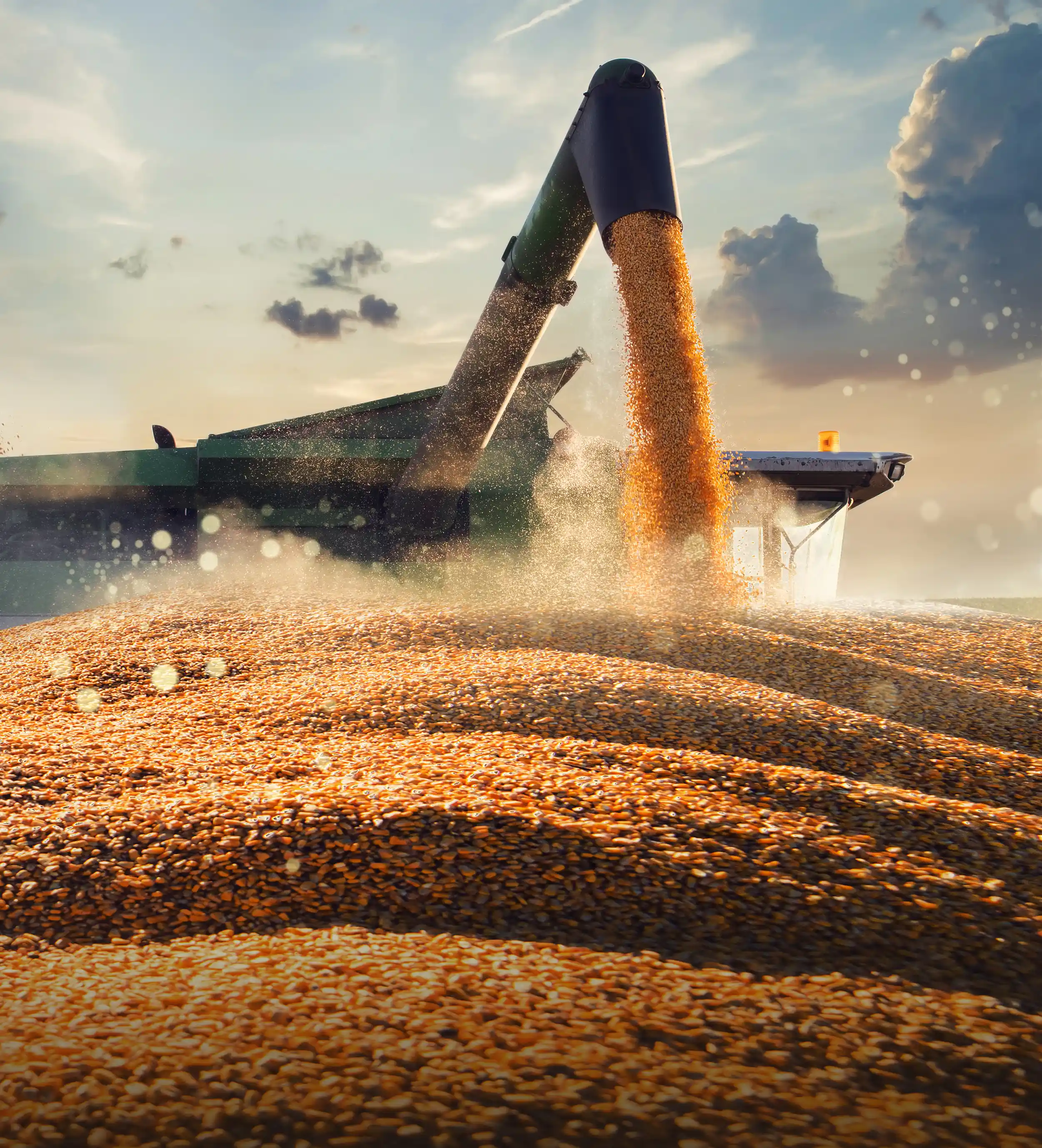 Grain Services